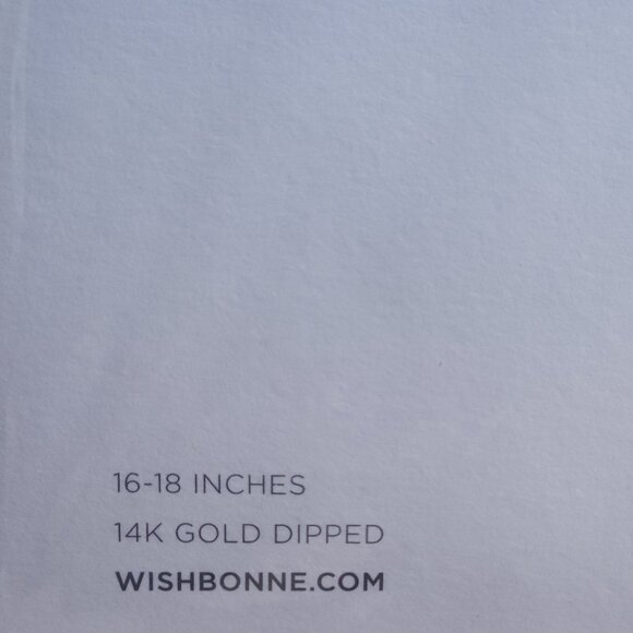 Wishbonne Fernweh Necklace 14kt Gold Dipped Made in USA NWT - Picture 2 of 3